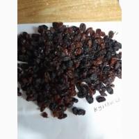 Изюм Коричневый Авдуш Узбекистан