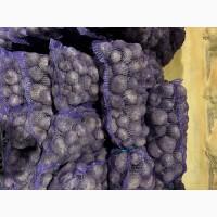 Продам буряк, 1-2 сорт є обʼєм