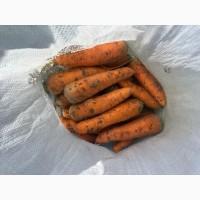 Морква морква