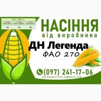Насіння кукурудзи 2025 - гібрид ДН Легенда (ФАО 270) від виробника
