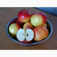 Продам яблука домашні (для вживання, на сік / переробку)