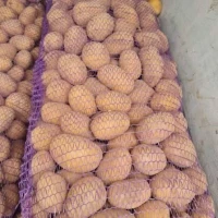 Куплю картошку товарную