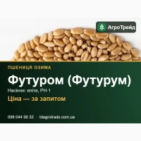 Пшениця Футуром (Футурум) - насіння озимої пшениці (Secobra), еліта, РН-1