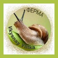 Продаётся улитка Helix Aspersa Muller, Maxima