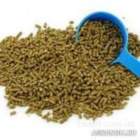 Forage for cattle dry barley-hop spent brew brewer’s grain granular