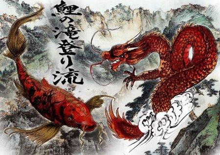 Цветные карпы кои, малек карп кои, карпы кои оптом, купить карпы кои