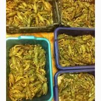 Раки живые свежие