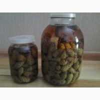 Гриб веселка 2023, березовий гриб чага, соснові шишки от инсульта