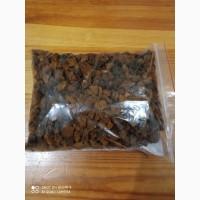 Гриб веселка 2023, березовий гриб чага, соснові шишки от инсульта