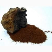 Гриб веселка 2023, березовий гриб чага, соснові шишки от инсульта