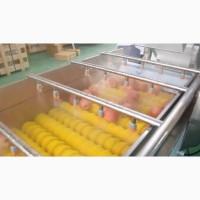 Машина для миття продуктів з ніжною шкіркою STvega Del Wash F15/30