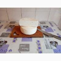 Продам козячу бринзу