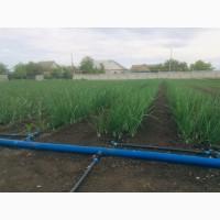 Лук Штутгарт на перо