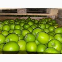 Яблука Голден Делішес, Фуджі, Грені Сміт, Ред Делішес