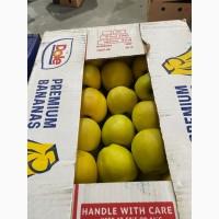 Яблука Голден Делішес, Фуджі, Грені Сміт, Ред Делішес