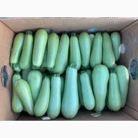 Продам кабачок