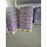 Продам товарну картоплю. Опт з ПДВ. Мережева якість