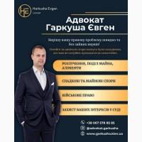 Ад80квт у Киє8і у сфері сімейн0г0, ци8ільн0г0 тв 8ійськ080г0 прв8в