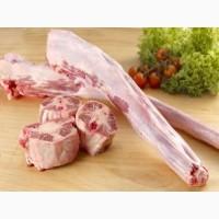 Куплю яловичі субпродукти гуртом або від 50кг -сухожилля, трахеї, пеніси бичі, хвости і т