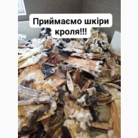 Купуємо сухі шкіри кроля