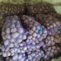 Продам картоплю сорту арізона