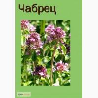 Куплю Чабрец
