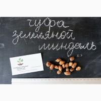 Чуфа семена (100шт) (земляной орех миндаль, сыть, тигровый орех, зимовник) горіх мигдаль
