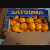 Продам мандарин сацума
