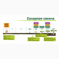 Органическое средство от сорняков «Глюмикрон»