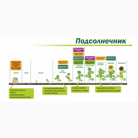 Органическое средство от сорняков «Глюмикрон»