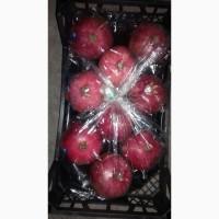 Продам мандарини та фрукти