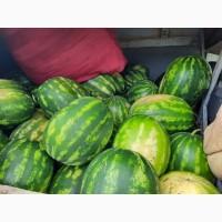 Продам арбуз