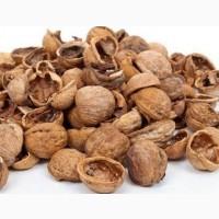 Закуповуємо шкаралупу грецького горіха