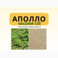 Насіння сої Аполло під Раундап