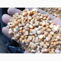 Продам горох жовтий, половинку гороху