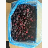 Закуповуємо Ожину заморожену