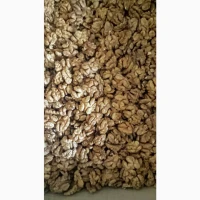 Продам битые грецкие орехи