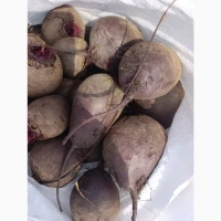 Продам буряк