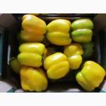 Голландский перец