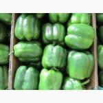 Голландский перец