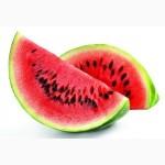 Продам семена арбуза оптом и в розницу