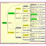 Пчеломатки Бакфаст B 366(MD) ИО