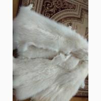 Шкірки н0рки, куниці, песця, 40рн06урки, 606рв