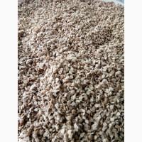 Продам семена розового помидора Грифон