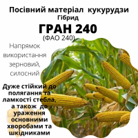 Пропонуємо насіння гібридів кукурудзи, ГРАН 240