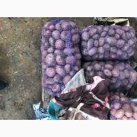 Продам картошку