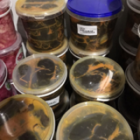 Продам корейские салаты
