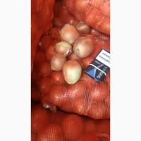 Продам цибулю