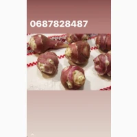Топінамбур СОРТОВИЙ відбірний Великий митий для Їжі / для Посадки/ від Діабету ЕКО