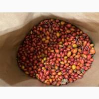 Продам чорницю заморожену